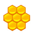bee and honey set vector image