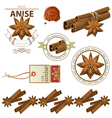 cinnamon and anise vector image
