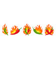 hot pepper labels chilli peppers sticker flaming vector image vector image