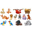 wild animals with happy smile vector image