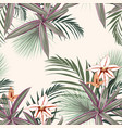 seamless pattern with exotic tropical plants vector image