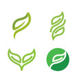 green leaf vector image