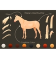 create your own horse design withconstructor vector image