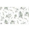 eucalyptus seamless pattern of different willow vector image
