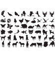 animal silhouettes vector image vector image