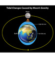tidal changes vector image