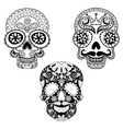 entangle stylized patterned skulls set vector image