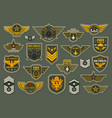 army air forces airborne units badges and chevron vector image