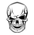 danger skull vector image vector image