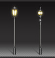 vintage street lamps black iron lantern on post vector image