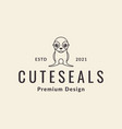 cute little seal logo design graphic symbol icon vector image
