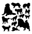 russian bear dog animal silhouettes vector image