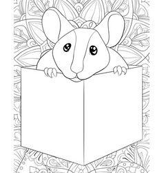 Adult coloring bookpage a cute rat in a box image Vector Image
