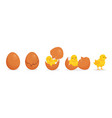 cartoon cute baby chicken hatch from egg stages vector image vector image
