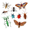 realistic insects on white background cartoon set vector image