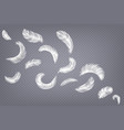 realistic feathers fluffy white goose and swan vector image vector image
