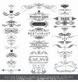 set of calligraphic elements and page decorations vector image
