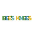 bees knees phrase overlap color no transparency vector image