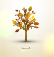 autumn tree design vector image