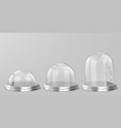 broken glass domes on silver podium vector image vector image