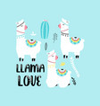 cute llama print design with slogan vector image