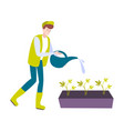 watering growing marijuana composition vector image