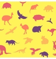australian animals pattern vector image