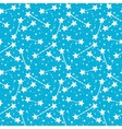 pattern with stars vector image