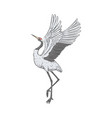 red-crowned crane stands on one leg with wings vector image vector image