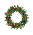 christmas wreath with green fir branch and cones vector image vector image