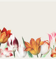 tulip field border vector image