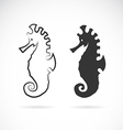 sea horse vector image vector image