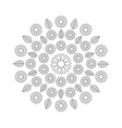 black and white mandala with flowers and leaves vector image