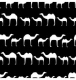 walking camel animal black and white seamless vector image