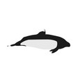 phocoenoides dalli truei - dalls porpoise vector image vector image