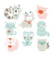 set of cute animals vector image