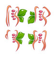 women health beauty and treatment symbols logo vector image