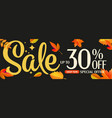 sale special offer up to 30 percent off autumn vector image