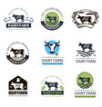 dairy farm labels set vector image