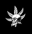 skull with marijuana leaf design element for logo vector image vector image