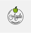 apple fruit logo round linear green vector image vector image