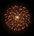 holiday festival golden firework independence day vector image vector image