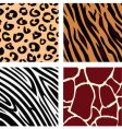 animal patterns vector image