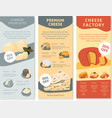 premium cheese factory and production of food vector image