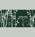 bamboo forest set nature japan china plant vector image