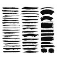 calligraphic brush strokes vector image