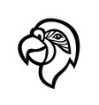 head macaw parrot mascot side view black vector image