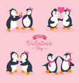 valentines day card cute penguins couple vector image