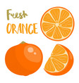 hand drawn of whole and sliced vector image