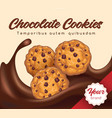realistic chocolate cookies banner vector image